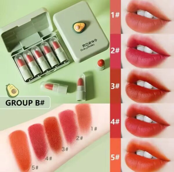hengfang mini matte lip stick 5pcs set