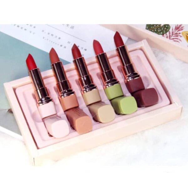 henfang smooth magic touch lipstick set of 5 pcs