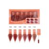 heng fang non stick cup mist lip gloss 6pcs set