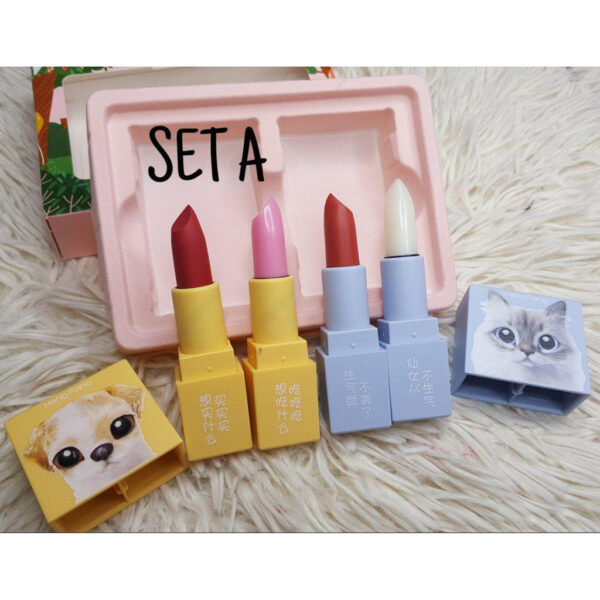 hengfang 4in1 perfect party lipstick set