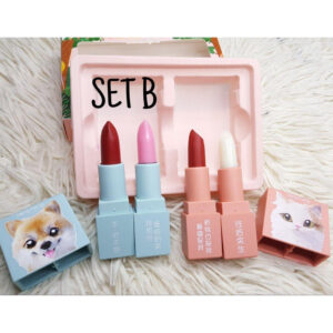 hengfang 4in1 perfect party lipstick set