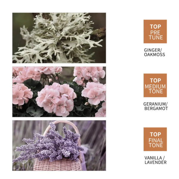 sadoer ginger essence hair growth serum